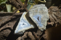 Natural Blue Lace Agate Geode Specimens x 7 From Nsanje, Malawi