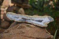 Natural Blue Lace Agate Geode Specimens x 7 From Nsanje, Malawi