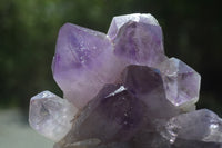 Natural Jacaranda Amethyst Quartz Clusters x 2 from Mumbwa, Zambia