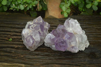 Natural Jacaranda Amethyst Quartz Clusters x 2 from Mumbwa, Zambia