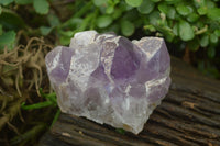 Natural Jacaranda Amethyst Quartz Clusters x 2 from Mumbwa, Zambia