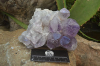 Natural Jacaranda Amethyst Quartz Clusters x 2 from Mumbwa, Zambia