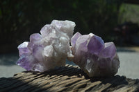 Natural Jacaranda Amethyst Quartz Clusters x 2 from Mumbwa, Zambia