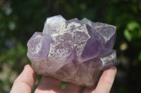 Natural Jacaranda Amethyst Quartz Clusters x 2 from Mumbwa, Zambia