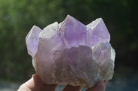 Natural Jacaranda Amethyst Quartz Clusters x 2 from Mumbwa, Zambia