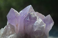 Natural Jacaranda Amethyst Quartz Clusters x 2 from Mumbwa, Zambia