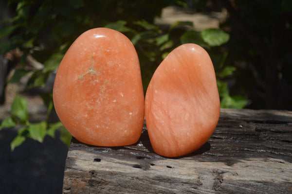 Polished Orange Twist Calcite Standing Free Forms x 2 From Maevantanana, Madagascar