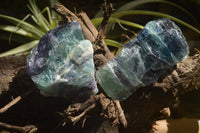 Natural Watermelon Fluorite Cobbed Specimens x 4 From Uis, Namibia