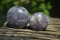 Polished Lepidolite One with Pink Rubellite Palm Stones x 24 From Ambatondrazaka, Madagascar