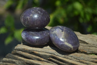 Polished Lepidolite One with Pink Rubellite Palm Stones x 24 From Ambatondrazaka, Madagascar