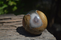 Polished Polychrome Jasper Spheres with Wooden Stands x 4 From Mahajanga, Madagascar