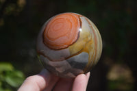 Polished Polychrome Jasper Spheres with Wooden Stands x 4 From Mahajanga, Madagascar