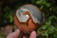 Polished Polychrome Jasper Spheres with Wooden Stands x 4 From Mahajanga, Madagascar