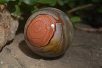 Polished Polychrome Jasper Spheres with Wooden Stands x 4 From Mahajanga, Madagascar