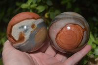 Polished Polychrome Jasper Spheres with Wooden Stands x 4 From Mahajanga, Madagascar