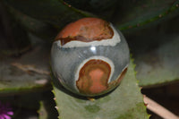 Polished Polychrome Jasper Spheres with Wooden Stands x 4 From Mahajanga, Madagascar