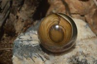 Polished Polychrome Jasper Spheres with Wooden Stands x 4 From Mahajanga, Madagascar