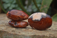 Polished Carnelian Galet-Palm Stones x 12 From Madagascar