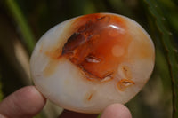 Polished Carnelian Galet-Palm Stones x 12 From Madagascar