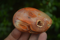 Polished Carnelian Galet-Palm Stones x 12 From Madagascar