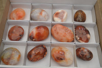 Polished Carnelian Galet-Palm Stones x 12 From Madagascar