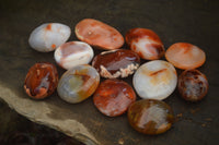 Polished Carnelian Galet-Palm Stones x 12 From Madagascar