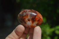 Polished Carnelian Galet-Palm Stones x 12 From Madagascar