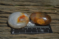 Polished Carnelian Galet-Palm Stones x 12 From Madagascar