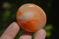 Polished Carnelian Galet-Palm Stones x 12 From Madagascar