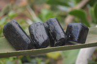 Natural Alluvial Schorl Black Tourmaline Crystals x 17 From Zimbabwe