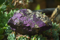 Natural Metallic Purpurite Cobbed Specimens x 6 From Erongo, Namibia