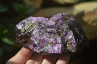 Natural Metallic Purpurite Cobbed Specimens x 6 From Erongo, Namibia