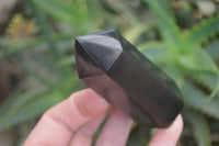 Polished Black Basalt Points x 12 From Madagascar