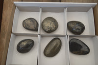 Polished Pharaoh Stone Palm Stones x 6 From Zimbabwe