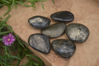 Polished Pharaoh Stone Palm Stones x 6 From Zimbabwe