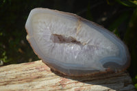 Polished Amethyst Agate Geode x 1 From Madagascar