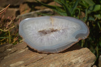 Polished Amethyst Agate Geode x 1 From Madagascar