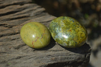 Polished Green Opal Palm Stones x 12 From Madagascar