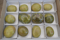 Polished Green Opal Palm Stones x 12 From Madagascar