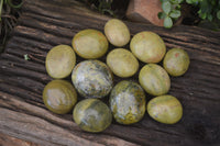 Polished Green Opal Palm Stones x 12 From Madagascar