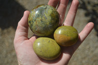 Polished Green Opal Palm Stones x 12 From Madagascar