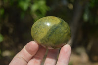 Polished Green Opal Palm Stones x 12 From Madagascar