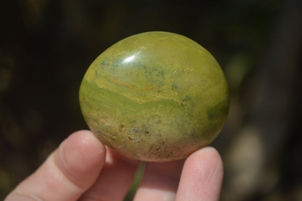 Polished Green Opal Palm Stones x 12 From Madagascar