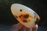 Polished Dendritic Agate Standing Free Forms x 3 From Madagascar