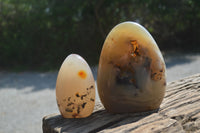 Polished Dendritic Agate Standing Free Forms x 3 From Madagascar