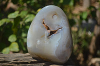 Polished Dendritic Agate Standing Free Forms x 3 From Madagascar