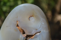 Polished Dendritic Agate Standing Free Forms x 3 From Madagascar