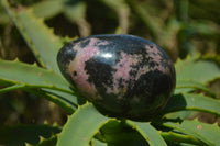 Polished Rhodonite Gemstone Eggs x 6 From Madagascar