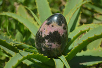 Polished Rhodonite Gemstone Eggs x 6 From Madagascar