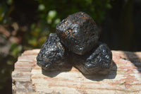 Natural Black Tourmaline Cobbed Specimens x 20 From Zimbabwe